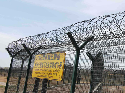 �C���o�ھW(w��ng)